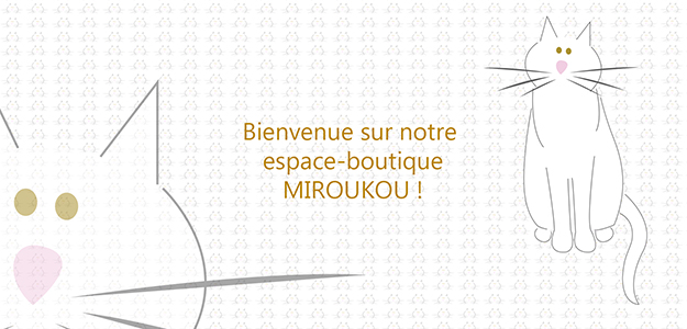 banniere 122022 Liste des boutiques Philippe STEED